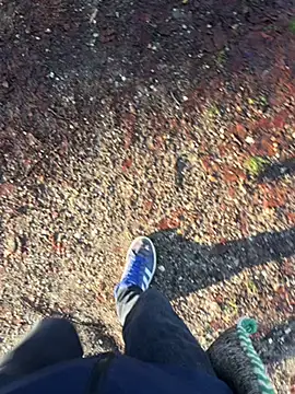 Mrbighardcock online show from 01/14/26, 10:19