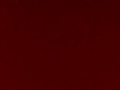 naughtyannu online show from 02/08/26, 09:29