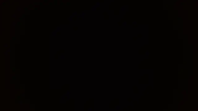 Dakota bumm online show from 02/03/26, 06:46