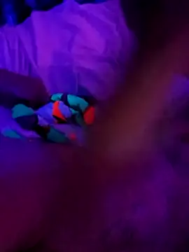 cammyquart online show from 11/02/25, 10:09