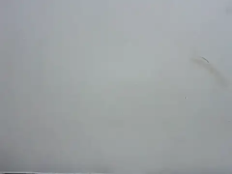 prettybeee online show from 11/04/25, 09:40