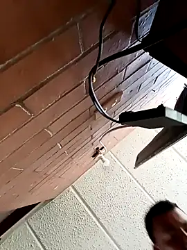 Diego leon27 online show from 03/12/26, 07:07