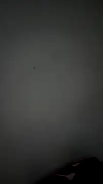 Briana Wells  online show from 04/14/26, 02:49