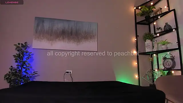 Briana Wells  online show from 05/24/26, 12:49
