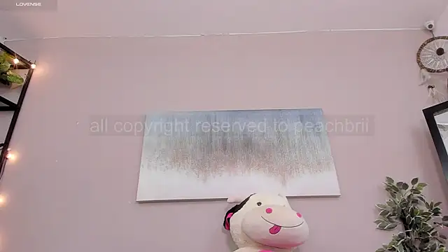 Briana Wells  online show from 11/29/25, 01:33