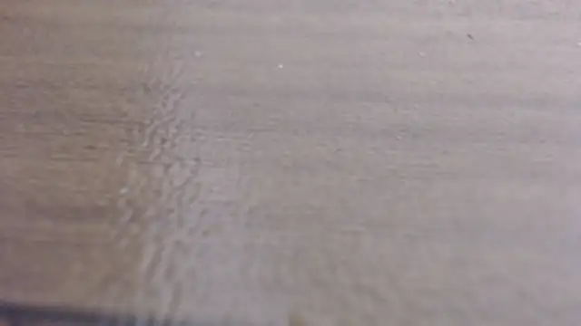 Ellias63 online show from 10/31/25, 10:16