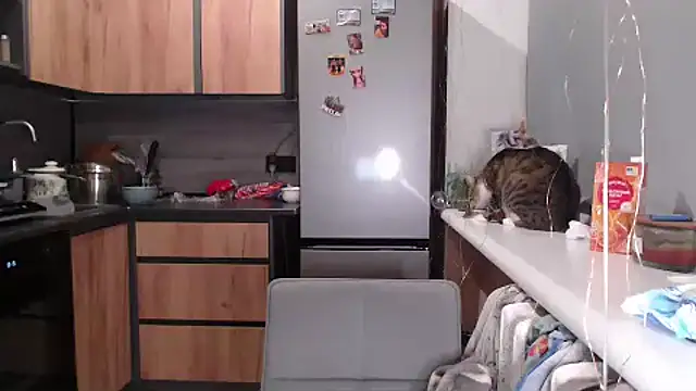 delightful sofi online show from 03/27/26, 06:20