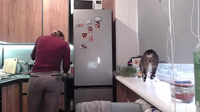 delightful sofi online show from 03/24/26, 03:23