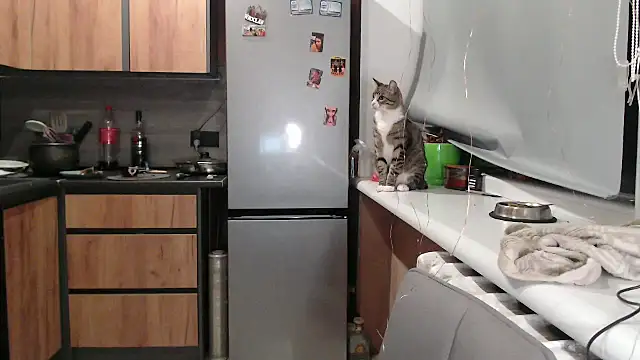 delightful sofi online show from 10/07/25, 05:47