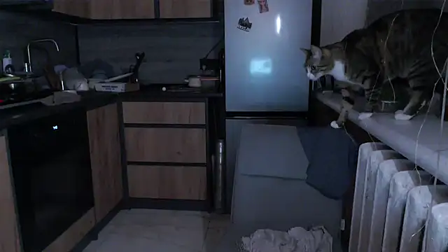 delightful sofi online show from 03/17/26, 08:56
