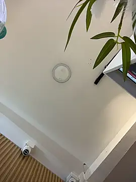 clarachanelricek online show from 03/09/26, 08:23