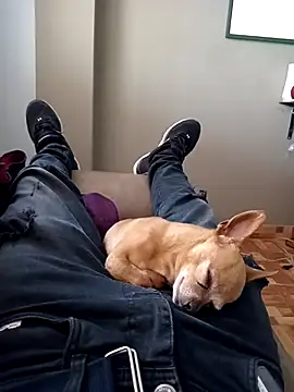 Snapshot of Jeanka18z chatting on 10/23/25, 05:33 Jeanka18z online show from 10/23/25, 05:33