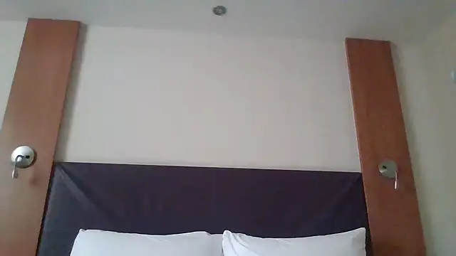 Snapshot of Allys chatting on 02/14/25, 11:53 Allys online show from 02/14/25, 11:53