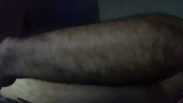 crazyslapper online show from 02/04/26, 10:54