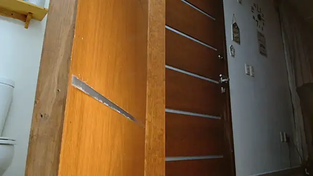 MINI Petite online show from 11/16/25, 08:30