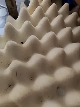 Leonelusxh online show from 09/17/25, 05:15