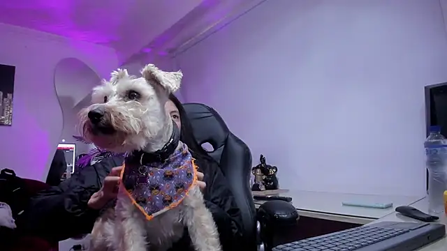 Meghan320 online show from 11/15/25, 11:36