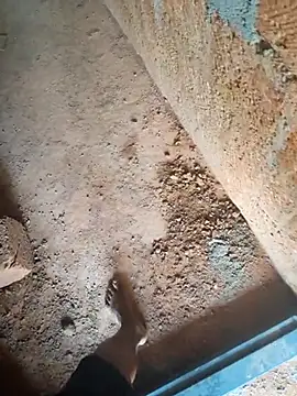 Mallupaiyanaachu online show from 02/03/26, 05:05