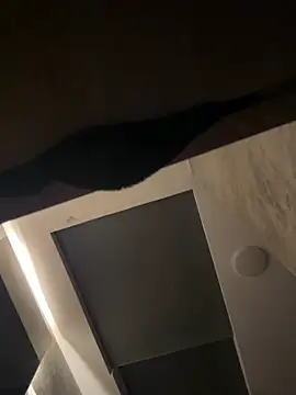 CeliWoods online show from 09/20/25, 10:09