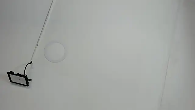 CeliWoods online show from 10/12/25, 11:22