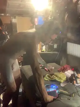 Likewise online show from 02/04/26, 04:46