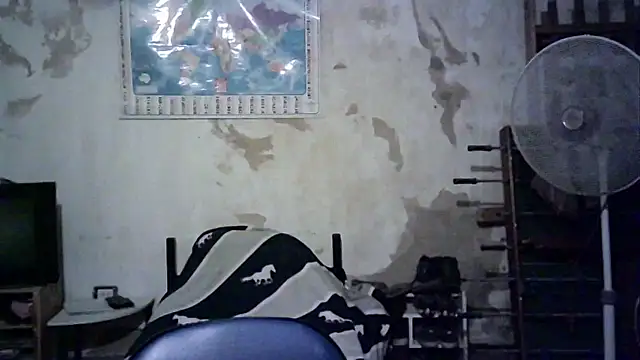 Emv2 online show from 11/26/25, 04:56