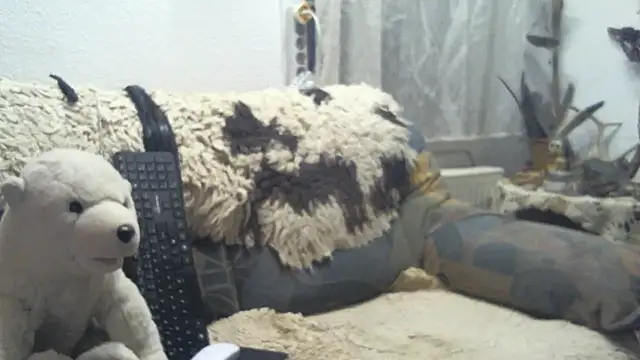 SexySantaC online show from 12/16/25, 09:08