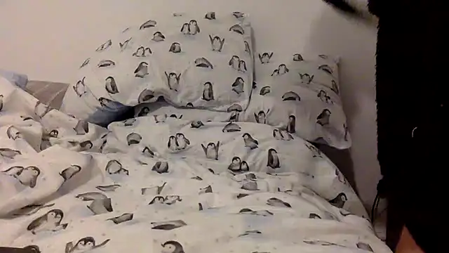 bigguy101 online show from 11/22/25, 03:38