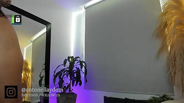 Snapshot of antonella_dom1 chatting on 01/07/26, 06:24 antonella dom1 online show from 01/07/26, 06:24