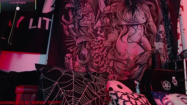 Snapshot of Silentmary chatting on 01/17/26, 02:53 Silentmary online show from 01/17/26, 02:53