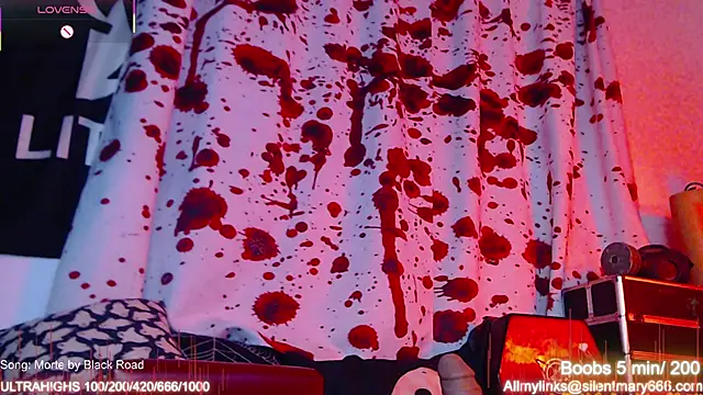 Snapshot of Silentmary chatting on 11/15/25, 02:04 Silentmary online show from 11/15/25, 02:04