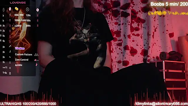 Snapshot of Silentmary chatting on 10/24/25, 11:26 Silentmary online show from 10/24/25, 11:26