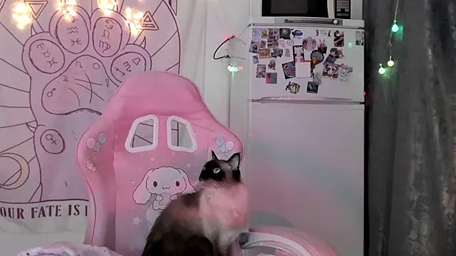 Holy420lolii online show from 01/18/26, 06:22