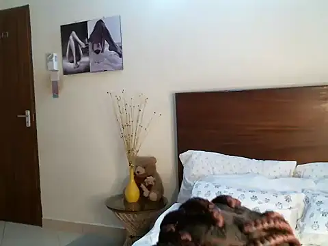 pay tience online show from 11/14/25, 02:48