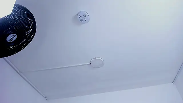 EMMAHILL1 online show from 02/19/26, 11:07