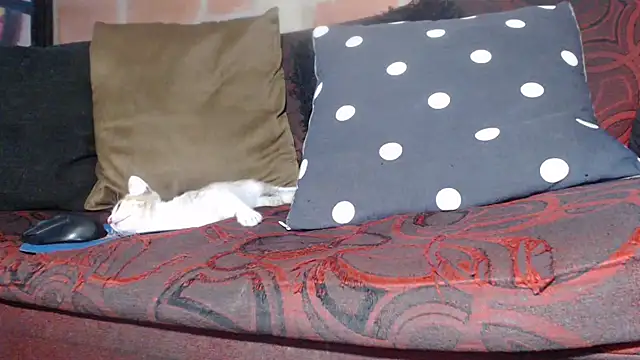 DevoraAmateur online show from 02/22/26, 07:04