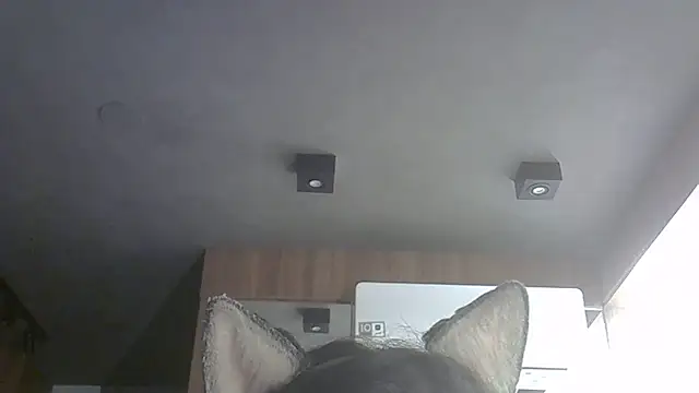 Snapshot of Skinny-Kitten chatting on 10/27/25, 06:58 Skinny-Kitten online show from 10/27/25, 06:58