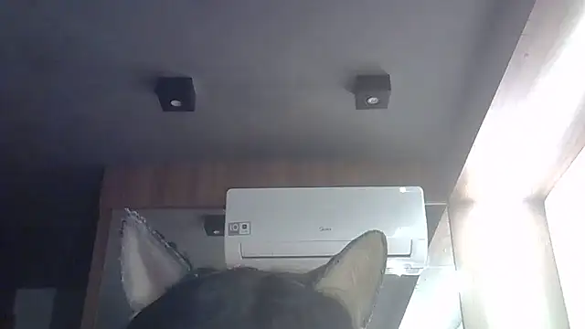 Skinny-Kitten online show from 05/28/26, 04:57