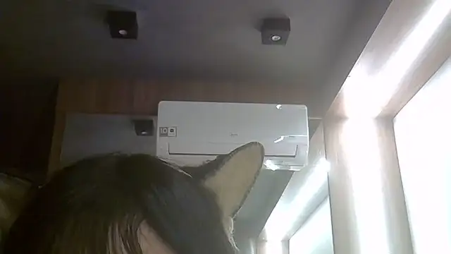 Snapshot of Skinny-Kitten chatting on 06/24/26, 01:37 Skinny-Kitten online show from 06/24/26, 01:37