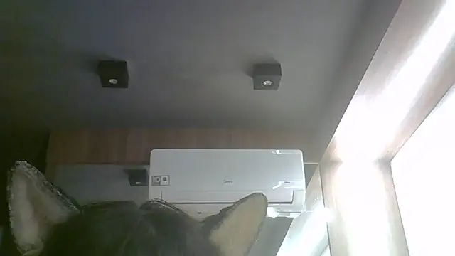 Snapshot of Skinny-Kitten chatting on 06/17/26, 03:44 Skinny-Kitten online show from 06/17/26, 03:44