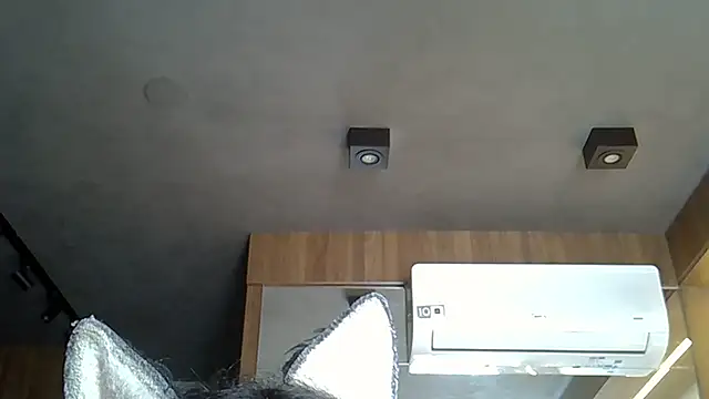 Snapshot of Skinny-Kitten chatting on 11/14/25, 03:15 Skinny-Kitten online show from 11/14/25, 03:15