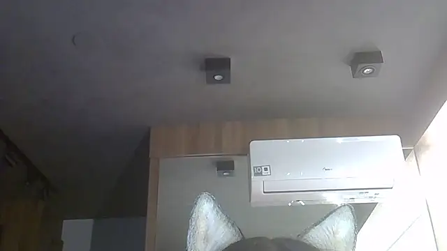 Skinny-Kitten online show from 12/22/25, 01:06