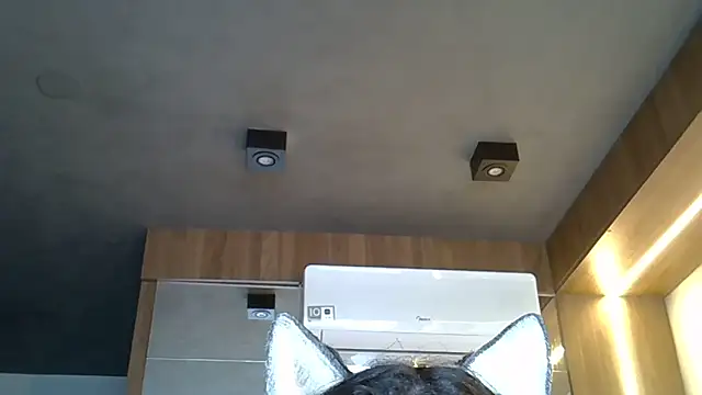 Snapshot of Skinny-Kitten chatting on 11/01/25, 09:36 Skinny-Kitten online show from 11/01/25, 09:36