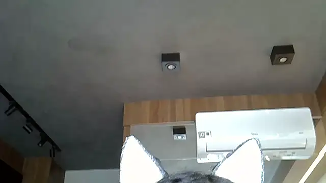 Snapshot of Skinny-Kitten chatting on 11/09/25, 05:06 Skinny-Kitten online show from 11/09/25, 05:06