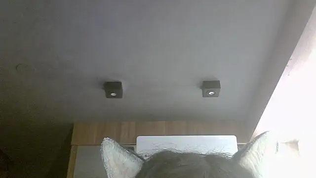 Skinny-Kitten online show from 05/14/26, 09:17