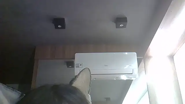 Skinny-Kitten online show from 05/30/26, 11:10