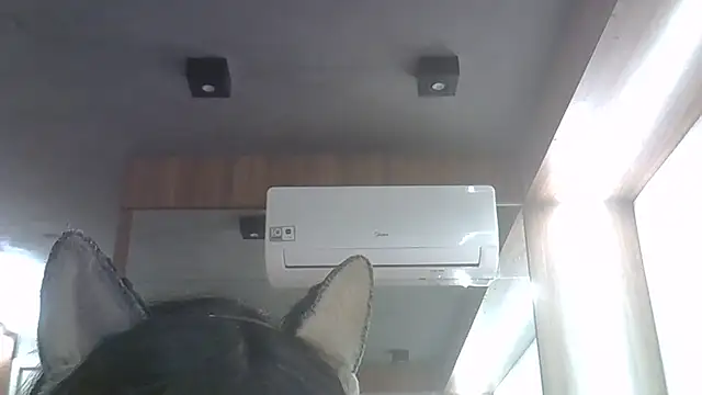 Snapshot of Skinny-Kitten chatting on 06/04/26, 11:42 Skinny-Kitten online show from 06/04/26, 11:42