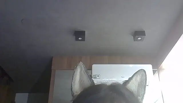 Skinny-Kitten online show from 02/14/26, 01:39