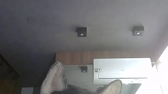 Skinny-Kitten online show from 02/07/26, 08:39