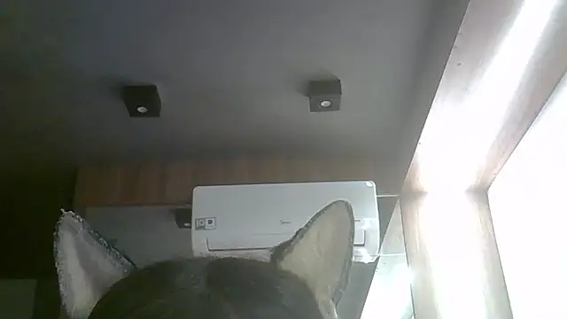 Skinny-Kitten online show from 05/04/26, 04:43
